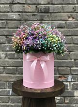 Цветочная композиция из Гипсофила и Розы в шляпной коробке в Лорисе