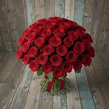 Букет 55 Красных роз Фридом #REPLACE_PRED# Лорисе