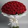 Букет 101 Красная роза Блэк Мэджик в Лорисе