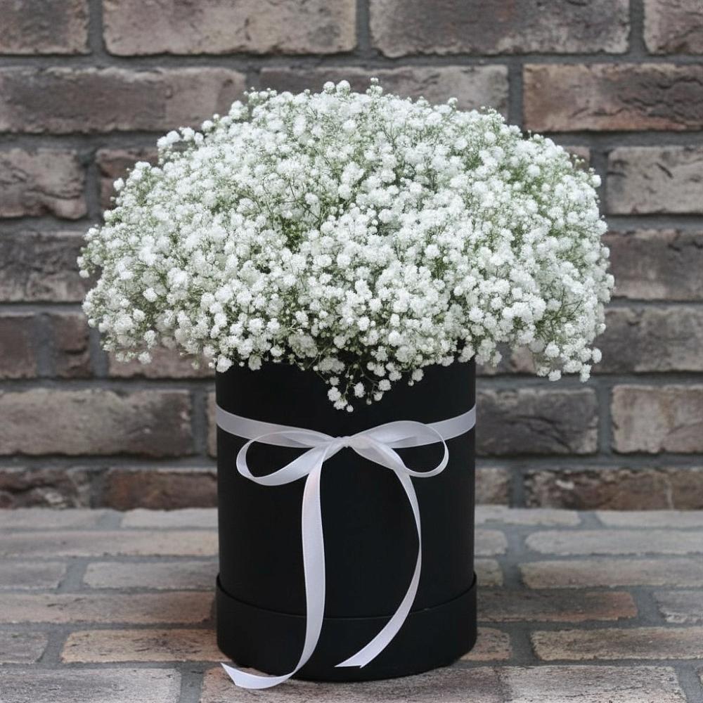 Цветочная композиция из Гипсофила в шляпной коробке в Лорисе