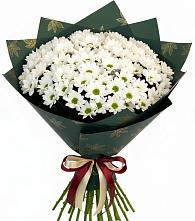 Букет цветов из:  Хризантемы в Лорисе