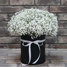Цветочная композиция из Гипсофила в шляпной коробке в Лорисе