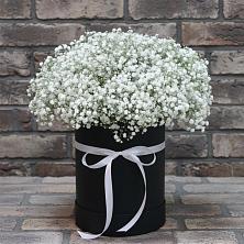 Цветочная композиция из Гипсофила в шляпной коробке в Лорисе