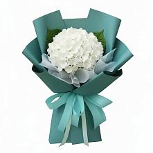 Букет цветов из:  Гортензия в Лорисе